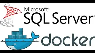 open MYSQL in phpmyadmin with Docker