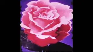 Aesthetic Vibes Girl BØRNS - Electric Love