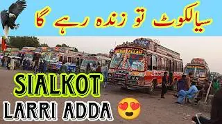 Sialkot General Bus Stand || Sialkot Larri Adda 🥰|| سیالکوٹ لاری اڈا 😍