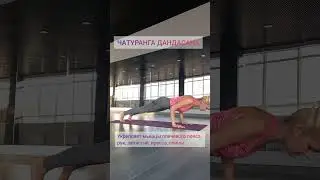ХАТХА-ЙОГА ОНЛАЙН! Запись в телеграм. Ссылка в описании. #yogalife #yogaonline #йогадома #хатхайога