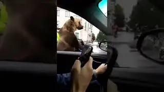 4 октября 2017 г.