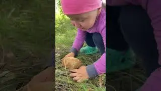 Я пришла за грибами #ЯжеВика