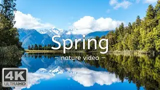 4K Nature Video | Spring | Beautiful spring landscapes of nature with relaxing music