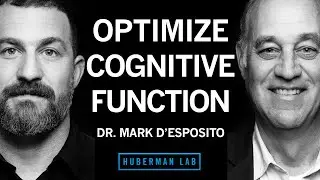 Dr. Mark D'Esposito: How to Optimize Cognitive Function & Brain Health