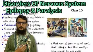 Disorders of nervous system | Vascular and Functional disorders | class 10
