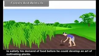Natural Vegetation And Wild Life 2 19