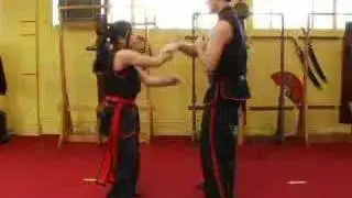 Wing Chun Hand Techniques