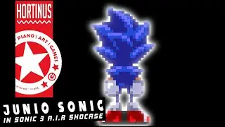 ✪ True Junio Sonic 3 AIR Showcase ✪