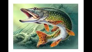 For amateur fishermen