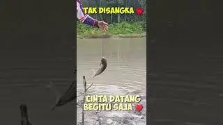 Seandainya aku tau dari awal♥️