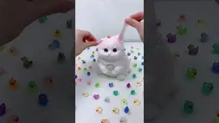 FUFUSQUISHY ASMR 🐈🐈Giant Pink Cat