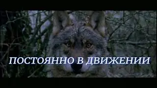 ПРЕМЬЕРА 