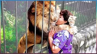 These Animals Don't Forget Their Owners After Years | Animal Reunion