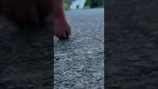 NO