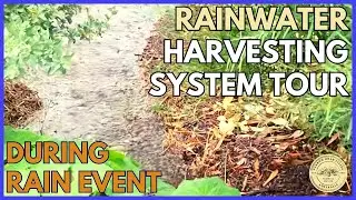 Full RAINWATER HARVESTING System TOUR DURING RAIN EVENT