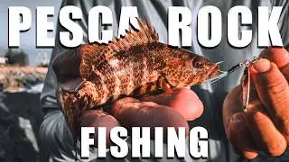 Guaranteed Fishing! With Soft Lures - light rock fishing