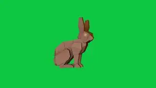 Lowpoly rabbit animation green screen