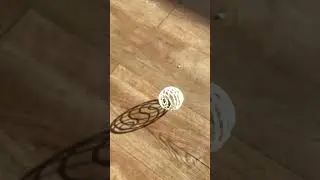 Lovely geometry of the shadow of a spinning whisk or whatever