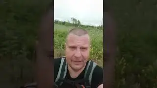 На болото за морошкой.....