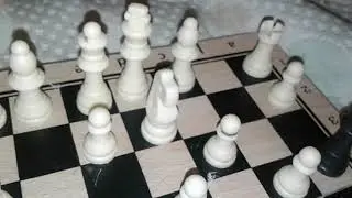 шах маты.