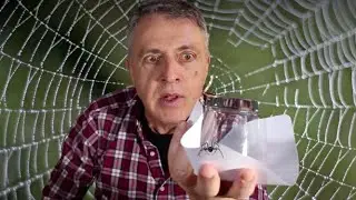 Mi mejor CONSEJO. 🎯