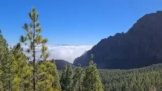 Camino de Candelaria, Tenerife
