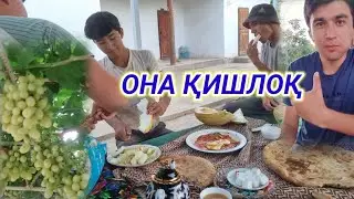 ҚИШЛОҚДА НИМА ГАПЛАР