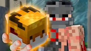 The TRUTH About the Golden Dragon Pet (Hypixel SkyBlock)