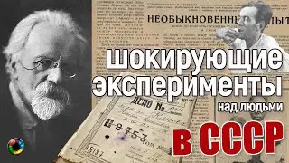 Человеко-обезьяны и другие эксперименты: как в СССР пытались создать Франкенштейнов