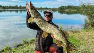 Start September with meterpike - Pike fishing in Hungary