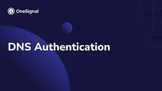 DNS Authentication - A Complete Guide to DNS Authentication for OneSignal Email Integration