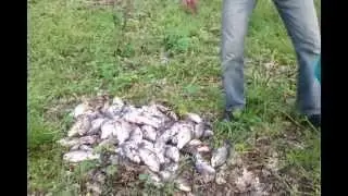 СХОДИЛИ НА РЫБАЛКУ ДНЕСТР ТИРАСПОЛЬ