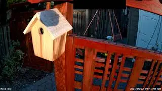 Chickadee nest box
