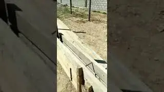 Нарында 50 орундуу сарай салынууда