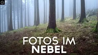 NEBEL FOTOGRAFIEREN im Taunus VLOG#6