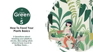 Green In 5 - How To Feed Your Plants Basics | Easy Fall Organic Fertilizing For Healthy Plants