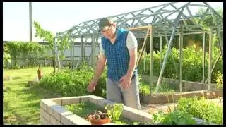 05/ТВЦ: Сажаем пряные травы
