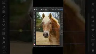 Remove Unwanted Object In Photoshop #photoshop #viralvideo #shorts #short #shortvideo #funny #video