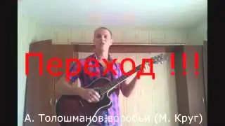 Видеоразбор песни М.Круга - "Воробьи"