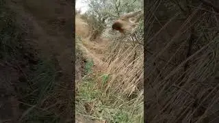 Немного ловля удалась