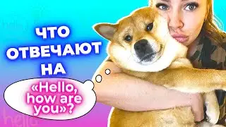 Что ответить на Hello. Приветствие на английском #Shorts