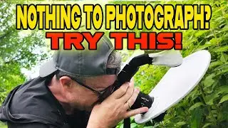 Macro Photography When Uninspired | Tutorial Tips and Settings
