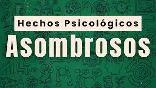 ¡7 Asombrosos Hechos Psicológicos que te Dejarán Boquiabierto!  Alquimia de Rory Sutherland