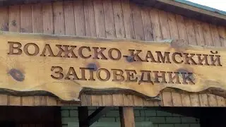 Экскурсия в ДЕНДРАРИЙ 🌳 Волжско-Камский Государственный Природный Биосферный Заповедник