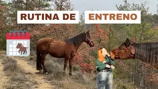 Nuestra rutina de entreno 2024 | Laia x Xaloc