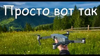 Долетался - просто смешно / I got there - it's just ridiculous