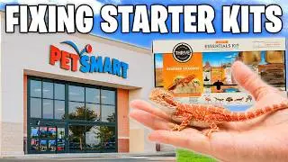 I Fixed PetSmart's Bearded Dragon Starter Kit
