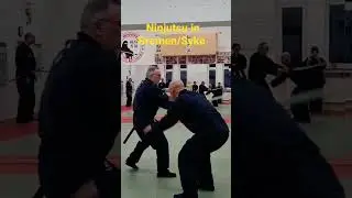 Ninjutsu in Bremen/Syke #martialarts #bremen #budo #japan #assassin #shorts #clips #anime #dance