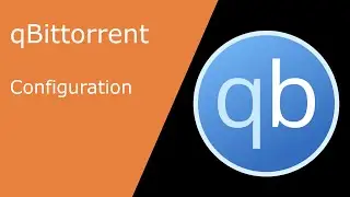 Unraid - Qbittorrent: Config