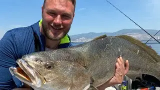 Granyöz ve kofana avı İzmir #jewfish #izmir